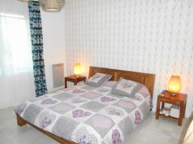 Пансионат для собак и кошек - ферма 26.600 м2