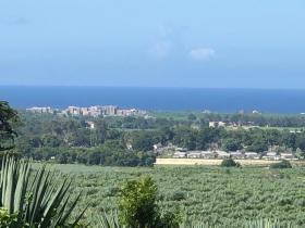Продается ровный участок рядом с Vipingo Ridge