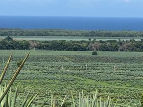 Продается ровный участок рядом с Vipingo Ridge