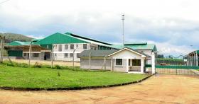 Крупная чайная ферма в Керичо