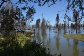 68 га собственности на берегу озера Найваша