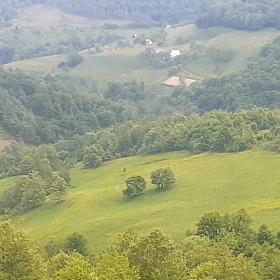 Продается фермерское хозяйство 16 га земли с домами и сараем для животных