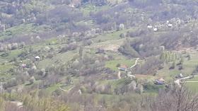 Продается фермерское хозяйство 16 га земли с домами и сараем для животных