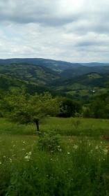 Продажа большой земли и семейного фермерского дома - возможности для инвестора