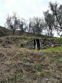 Райская ферма на берегу реки Риу-Рибейра-ду-Нету