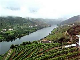Уникальная ферма на продажу в Alto Douro Vinhateiro, Parada do Bispo