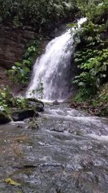 Ферма площадью 71 га с водопадами, берущими начало в горах