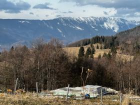 Земля под застройку 30 000 м2 + лесной массив 20 000 м2