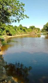500 га в непосредственной близости от столицы Asuncion, Парагвай